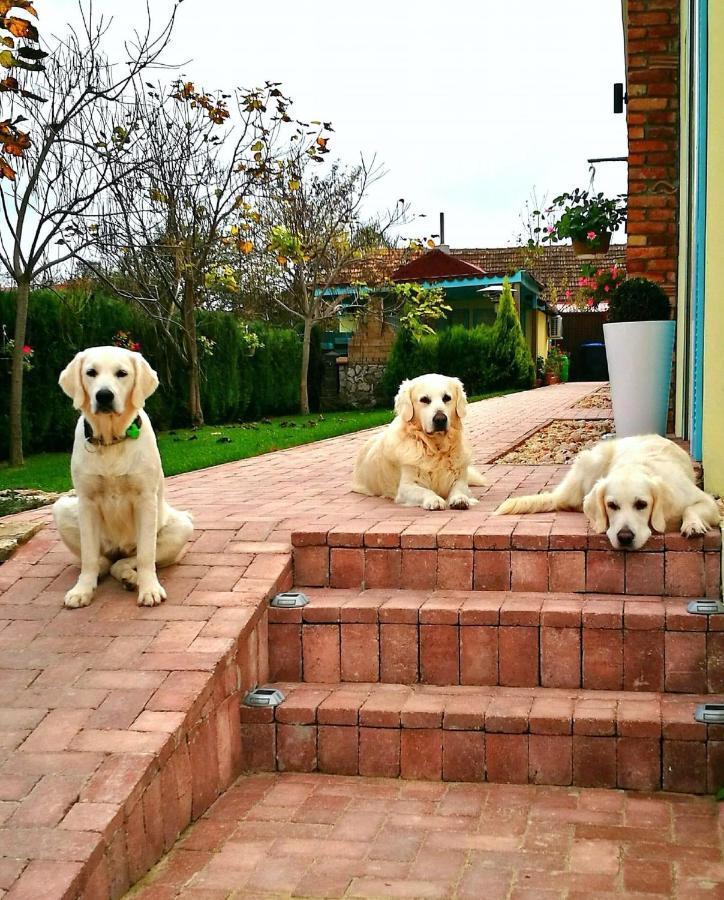 Casa Ana Vama Veche Exterior foto