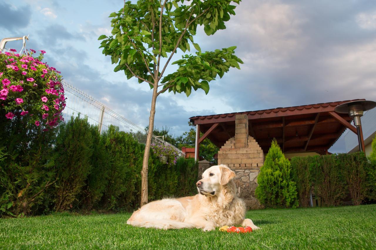Casa Ana Vama Veche Exterior foto